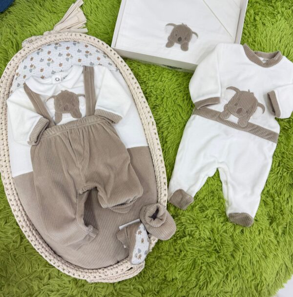 COORDINATO KOALA